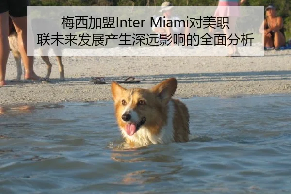 梅西加盟Inter Miami对美职联未来发展产生深远影响的全面分析