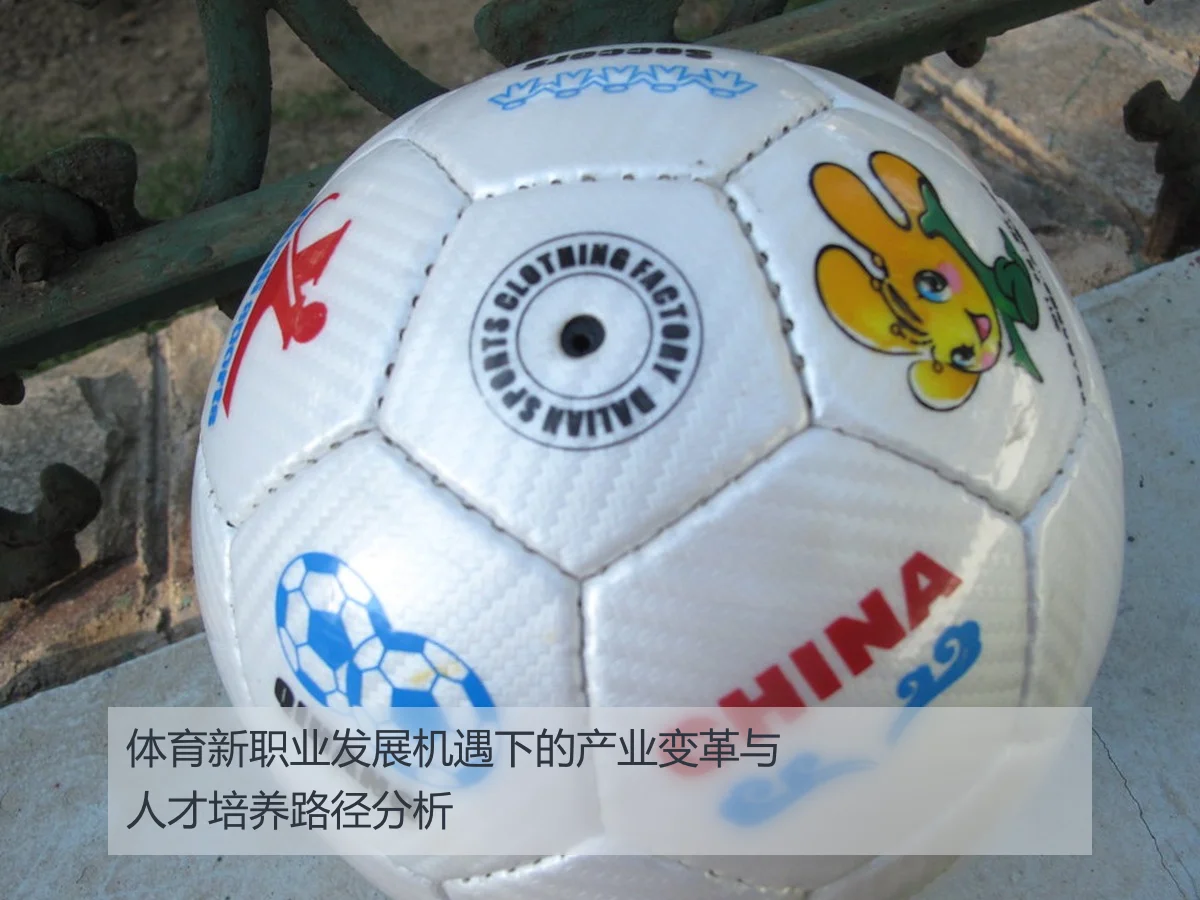 体育新职业发展机遇下的产业变革与人才培养路径分析